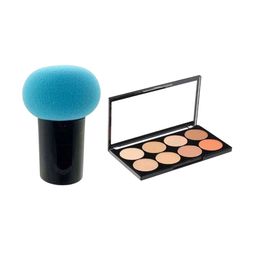 skrynnzer Set Of 2 8 Shades Concealer Palette- 15 g & Mushroom Puff-10