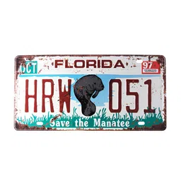 eazy wagon White & Red Florida HRW 051 Printed Wall HangingDecor-image-27