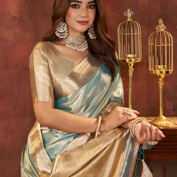 100 Dreams Woven Design Zari Organza Banarasi Saree-picture-13
