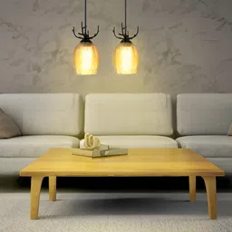 KINIS Black & Transparent 2 Pieces Glass Cylinder Shaped Ceiling Lamps-picture-51