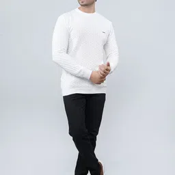FEVERFEW Men Solid Self Design Fashion Pullover Sweaters-picture-10