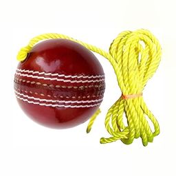 HackerX Leather Hanging Cricket Ball-50