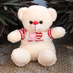 DukieKooky Polyfill Teddy Bears Soft Toys and Dolls-15
