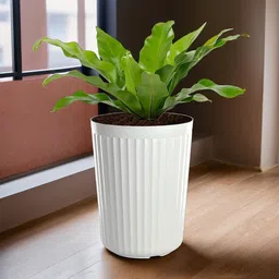 Kuber Industries White Textured Planter-22