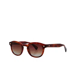 Shisen Fox Unisex Round Sunglasses with Polarised and UV Protected Lens SG298-8