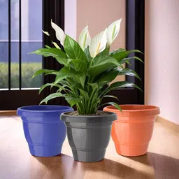 Kuber Industries Set Of 3 Blue & Black Planter With Pot image 1