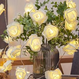 Decorcity White 14 LED Electric Operated Rose String Lights-36