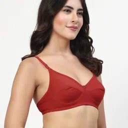 LILY Iteerp Pack Of 2 Full Coverage Cut and Sew Non Padded Bra image 4