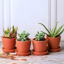 The handicraftian 4Pc Brown Cone Small Planters-40