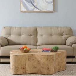 casacraft from pepperfry Jolanta Oak Burl Veneer Star Shape Coffee Table in Natural finish-picture-7