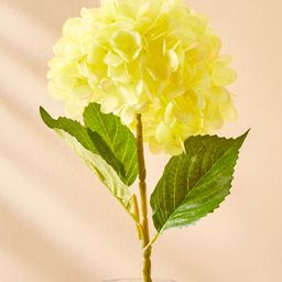 Home Centre Yellow & Green Hydrangea Artificial Flower-0