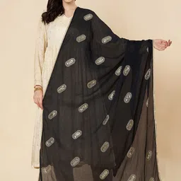 Zamour Ethnic Motifs Embroidered Dupatta with Zari-picture-48