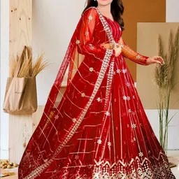 F Plus Fashion Red Net Lehenga Choli-picture-7