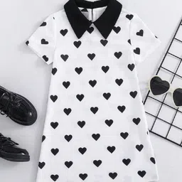 BAESD Girls Graphic Printed A-Line Dress-picture-21