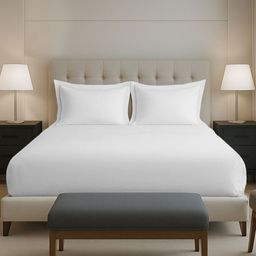 PIZUNA LINENS White 400 TC Queen Cotton Bedsheet With 2 Pillow Covers-picture-24
