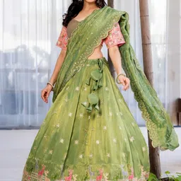 HOUSE OF JAMOTI Embellished Sequinned Ready to Wear Lehenga & Blouse With Dupatta-22