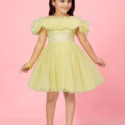 BAESD Flutter Sleeve Net Fit & Flare Dress image 1