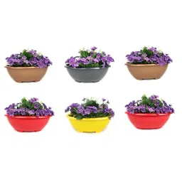 Bonsai Round Pot 13.7 Inch for Indoor & Outdoor Plants-image-8