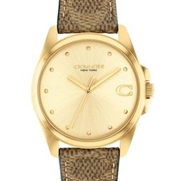 Coach Women Greyson Dial & Leather Textured Straps Analogue Watch 14504111-image-69