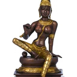 Exotic India Brown & Gold Toned Goddess Uma Religious Brass Idol Showpiece-image-52