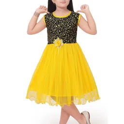 FASSY Girls Floral Sequined Fit & Flare Dress-image-46