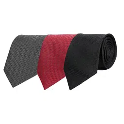 CALIXTO Men Pack Of 3 Woven Design Broad Tie-picture-34