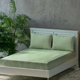 Trance Home Linen Green Pure Cotton 300 TC Queen Size Bedsheet Set 1.90 m x 1.82 m-image-11