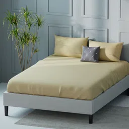 Nautica compass-400 Yellow Pure Cotton 400 TC King Bedsheet Set 2.74 m X 2.74 m-image-99
