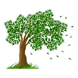 LANSTICK Green & Brown Big Tree With Leaves Printed Wall Stcikers-image-80