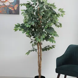 ARICK DECOR Green 1 Pieces Ficus Artificial Plant With Pot-picture-5