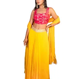 THE BEHRUZ THEORY Embroidered Sequinned Ready to Wear Lehenga & Blouse With Dupatta image 3