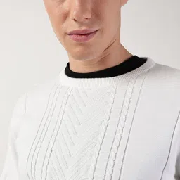 Thomas Scott Round Neck Self Design Pullover Sweater-picture-28