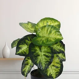 Home Bloom Yellow 1 Pieces Artificial Plant With Pot-29