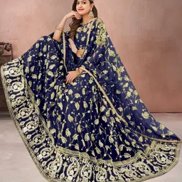 F Plus Fashion Multi Net Lehenga Choli image 3
