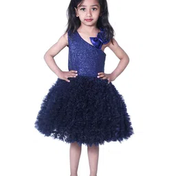 Wow Princess Net A-Line Dress-image-119