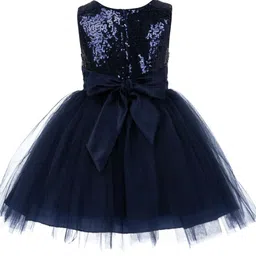 Wish little Net A-Line Dress image 2