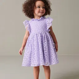 INCLUD Embellished Embroidered Flutter Sleeve Fit & Flare Dress-19