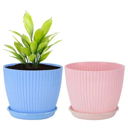 Kuber Industries 2Pc Pink & Blue Durable Plastic Planters-57