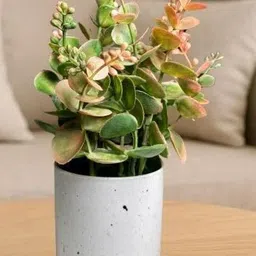 De Gardenia Green Ivy Artificial Plant With Pot-picture-4