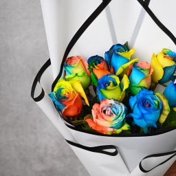 Rainbow Roses Resting In Clouds image 4