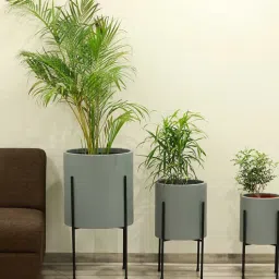 craftter Cylindrical Shaped Large Set of 3 Grey Fiber Glass Floor Planter-picture-32
