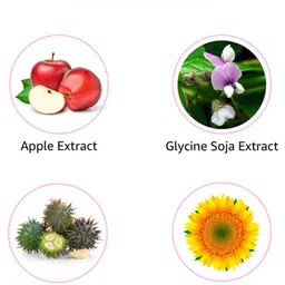 w2 why wait W2 Kerotein Apple Conditioner for Split Ends 500gm image 2