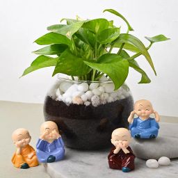 Spiritual Money Plant N Buddhas-image-1