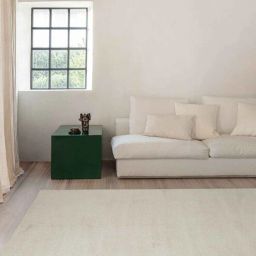 ddecor White Solid Polyester 4 ft x 6 ft Machine Made Carpet-picture-16