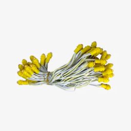 Yellow 9mm 12v 5 inch Pixel Led Serial Decoration Light - 5 meters - 50 Leds-10