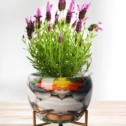 Nymph Reva Home White & Yellow Printed Planters With Stands-image-27