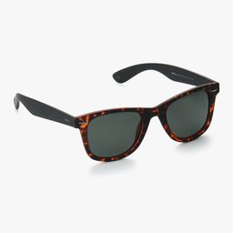 INVU Unisex Wayfarer Sunglasses-image-34