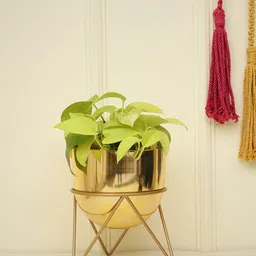 HomeShastra Gold Toned Metal Planters with Stand-57