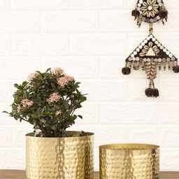 HomeShastra Luxe Gold Toned 2 Pieces Iron Planters-18