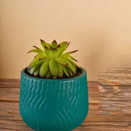 WEAVING HOMES Teal Green Textured Ceramic Planters-picture-41